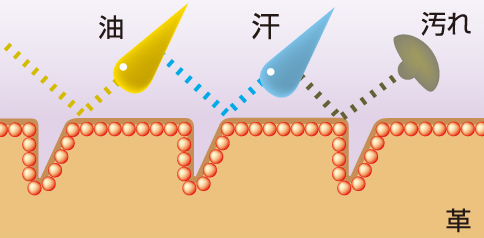 プロテクトのイメージ